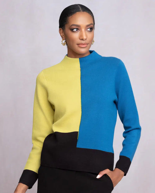 Alison Sheri | Colour Blocked Pullover